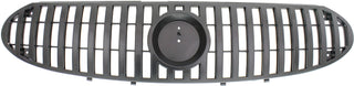 2002-2007 Buick Rendezvous Grille, Painted-Silver Gray.