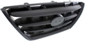 2004-2006 Hyundai Elantra Grille, Painted-Black.
