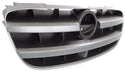 2002-2003 Nissan Maxima Grille, Silver/Silver Gray.