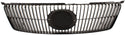 2006-2007 Lexus GS300 Grille, Primed.