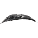 2010-2012 Dodge Ram 2500 Front Fender Liner LH.