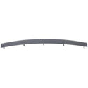 2009-2011 BMW 335i xDrive Front Bumper Molding, Lower Center Finisher, Sedan/Wagon.