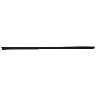 1981-1987 Buick Regal 2Dr Front Impact Strip W/ Whiteline.