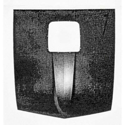 1969 Ford Mustang SHAKER HOOD PANEL w/o HOOD PIN HOLES FOR MACH 1.