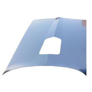 1977-1981 Pontiac Firebird SHAKER HOOD PANEL FOR T/A MODELS.