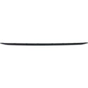 2013-2015 BMW 328i xDrive Rear Bumper Molding, Sport Line Type, w/o M Sportline.