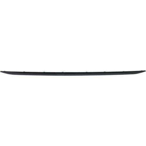 2012-2015 BMW 320i Rear Bumper Molding, Sport Line Type, w/o M Sportline.
