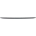 2012-2015 BMW 335i Rear Bumper Molding, Sport Line Type, w/o M Sportline.