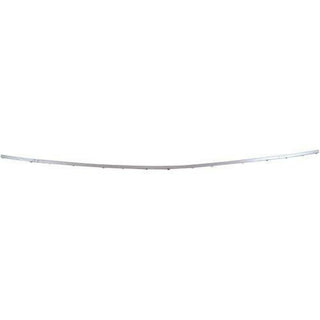 2006-2008 BMW 750Li Rear Bumper Molding, Center Insert, Chrome.