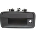2014-2015 GMC Sierra Tailgate Handle, Outside, +metal, W/o Camera, w/Hole.