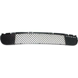 2000-2003 BMW M5 Front Bumper Grille, Screen, Center.