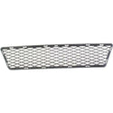2007-2010 BMW 3-series Front Bumper Grille, Center.