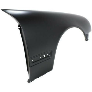 2000-2003 Mercedes-Benz E-Class Fender RH, With Sport Pkg, With AMG.