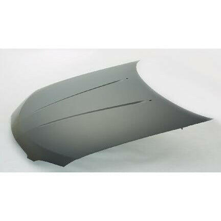 2004-2006 Nissan Sentra Hood.