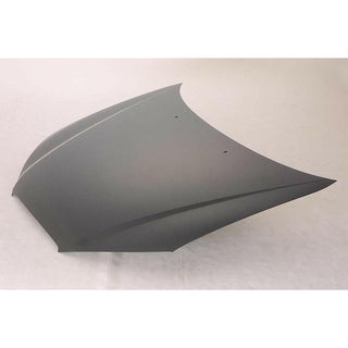 2007-2010 Hyundai Elantra Hood.