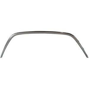 2009-2010 Hyundai Sonata Front Bumper Molding.