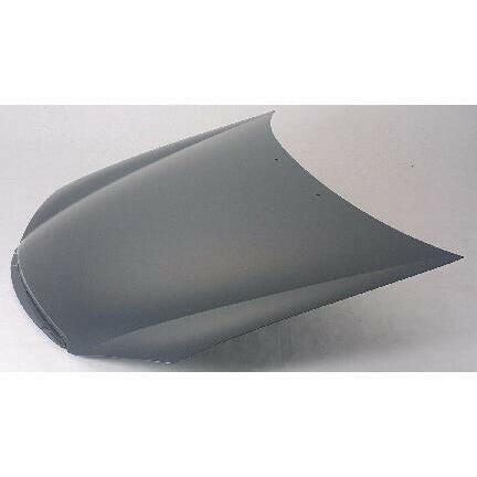 2005-2007 Kia Spectra5 Hood.