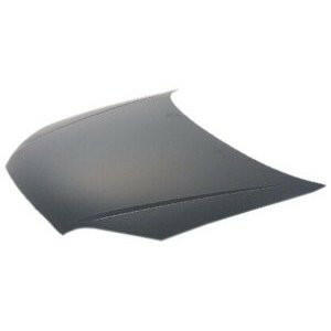 2005-2007 Ford Focus Hood (C).