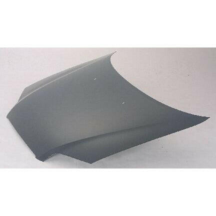 2004-2006 Chevy Aveo Hood.