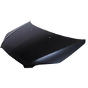 2009-2010 Pontiac G3 Wave Hood.