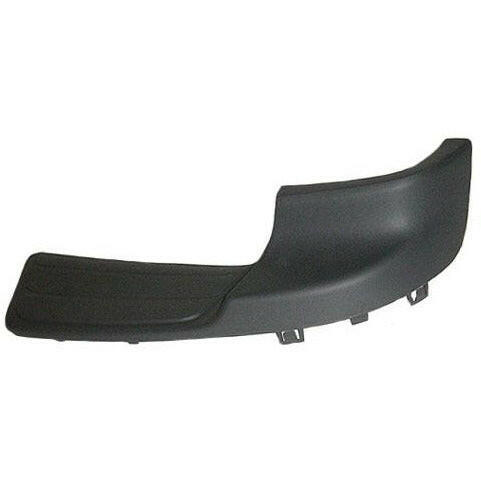 2002-2007 Chevy TrailBlazer Rear Outer Step Pad RH.