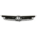 2003-2005 Toyota Echo Grille Black.