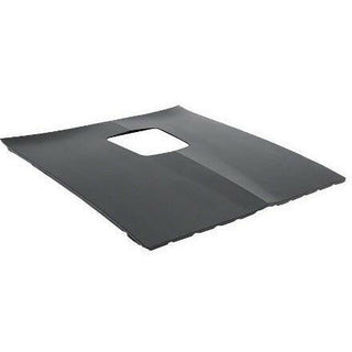 1977-1981 Pontiac Trans Am Hood Trans.