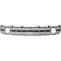 2001-2005 Volkswagen Beetle Front Bumper Grille.